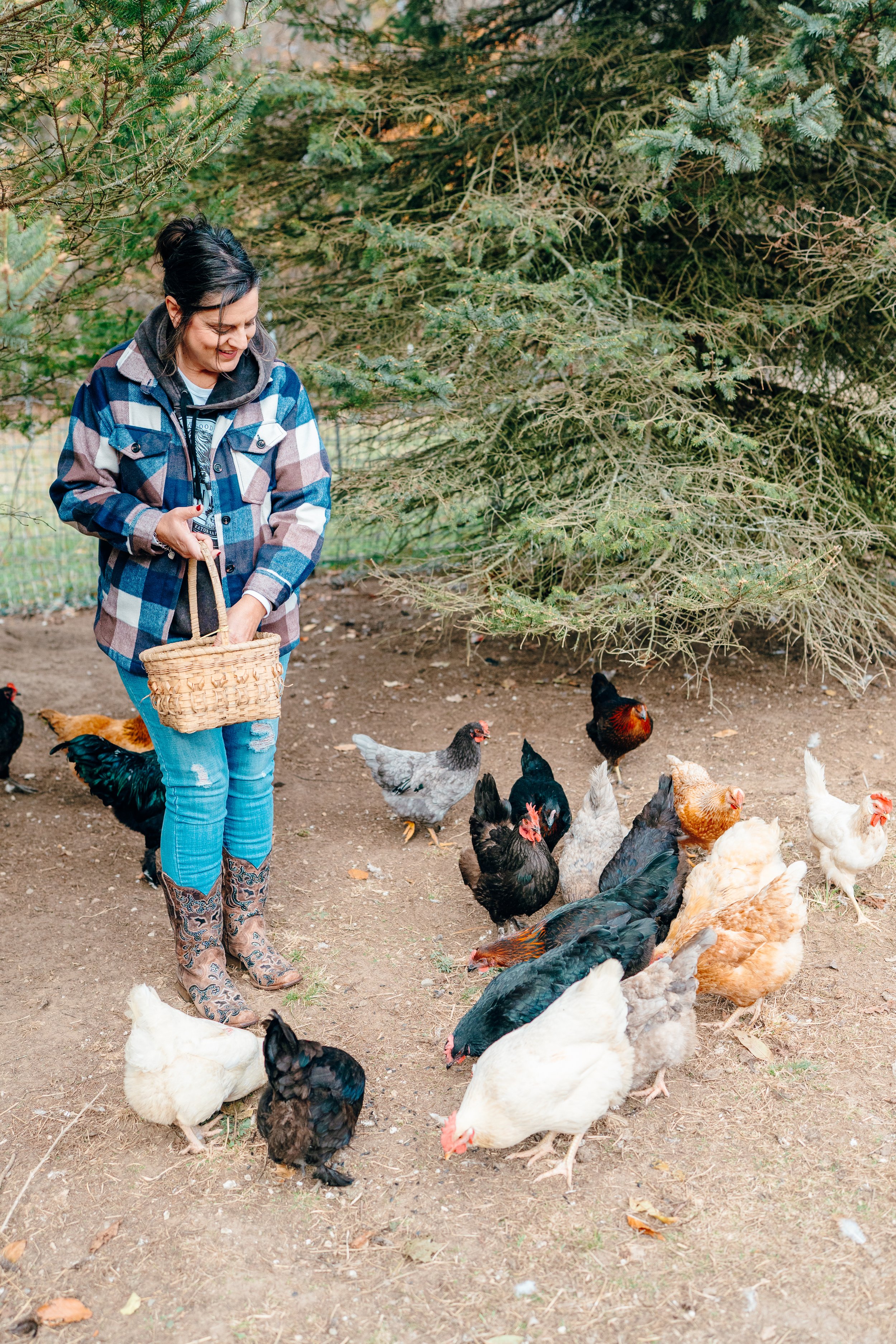 A woman wearing a blue plaid jacket and cowboy boots feeds chickens in a dirt area under pine trees.