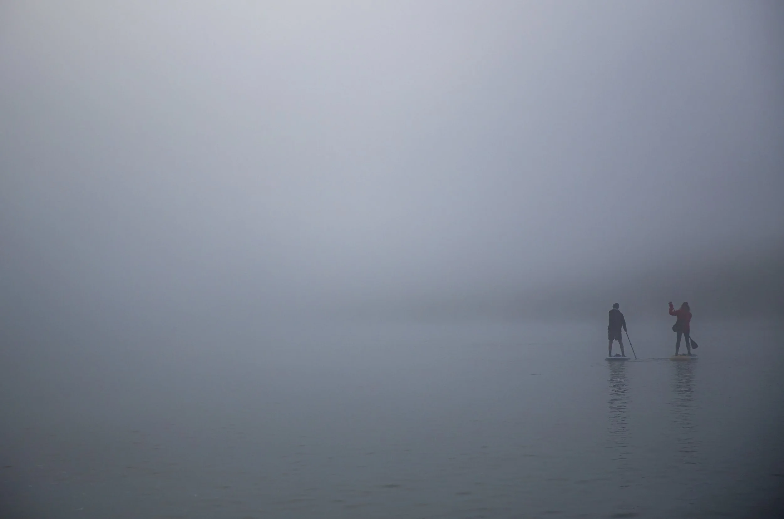 Nature photography in Newquay