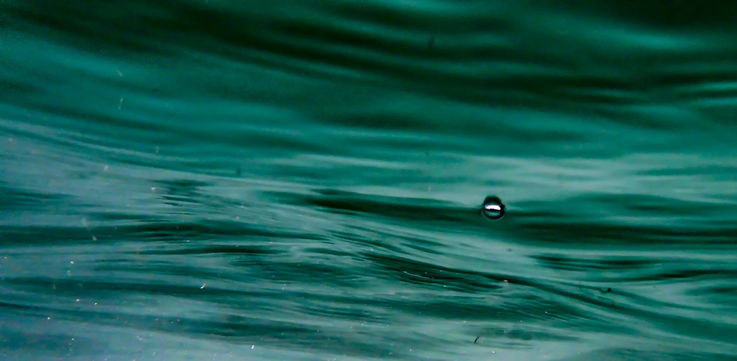 Underwater photography in Newquay
