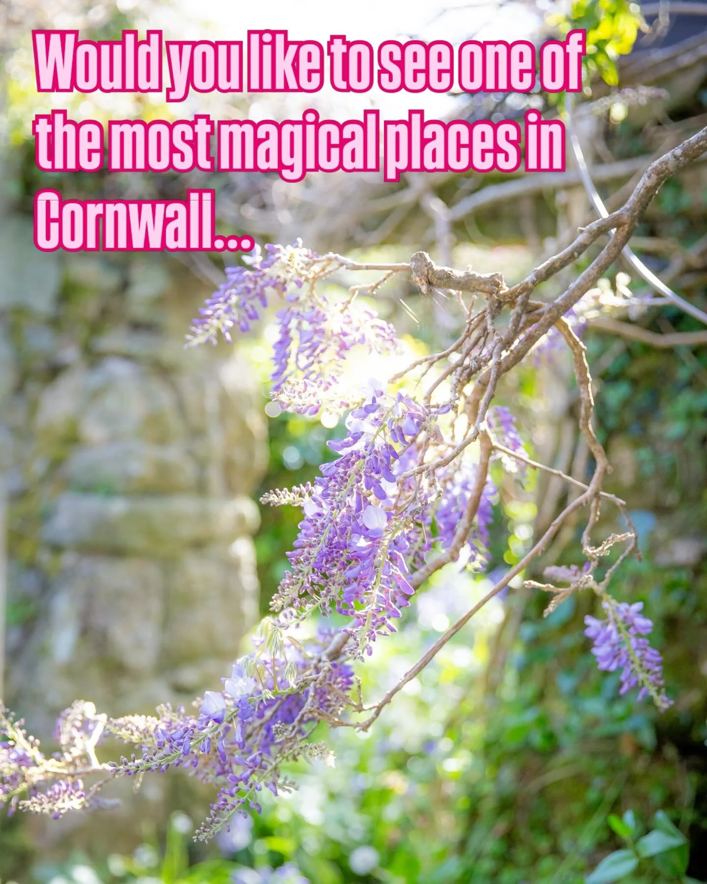 Welcome to Rosemerryn. I have rewritten this so many times as it is almost impossible to describe what makes this place so magical. It is more than the perfect combination of the stunning wild woodland setting, the beautiful old building and the lovi