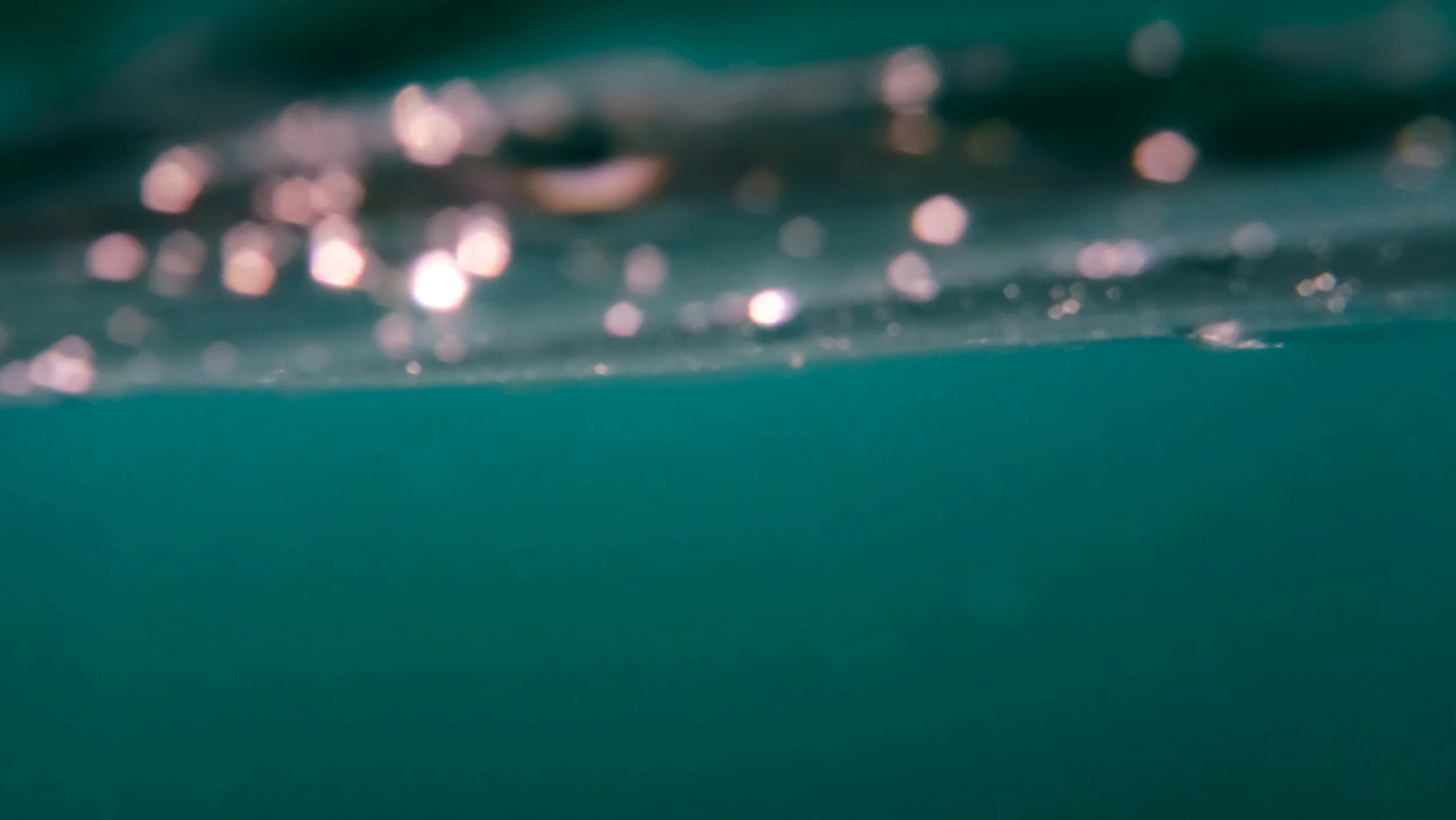 Underwater photography in Cornwall