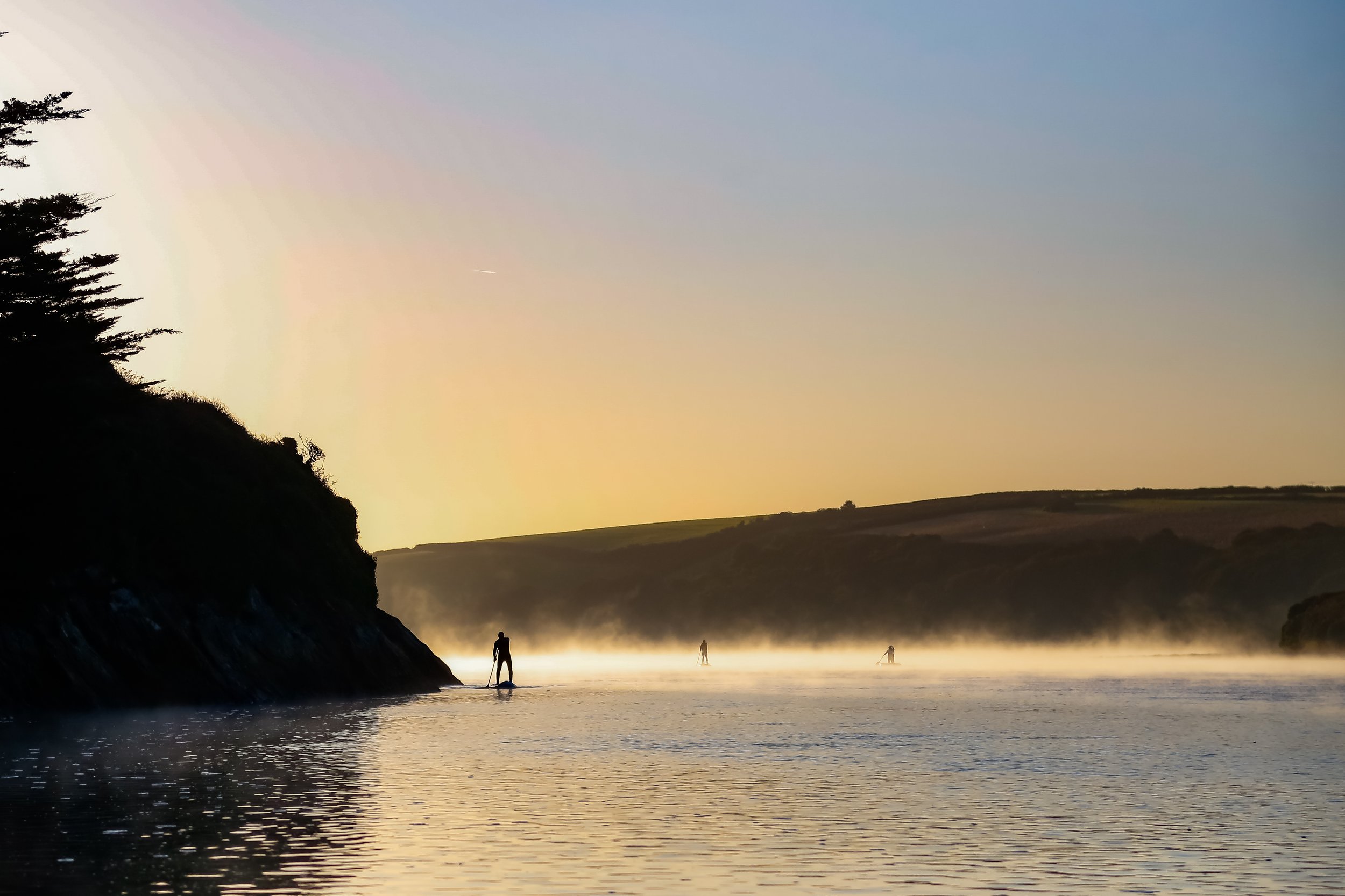 Nature photography in Newquay