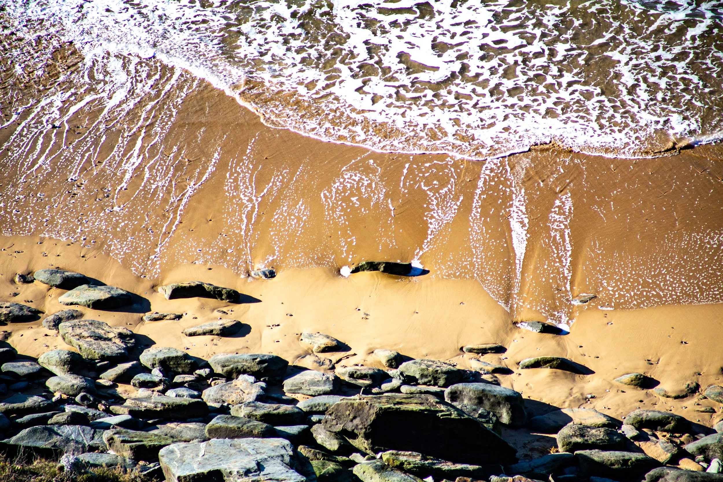 Nature photography in Newquay