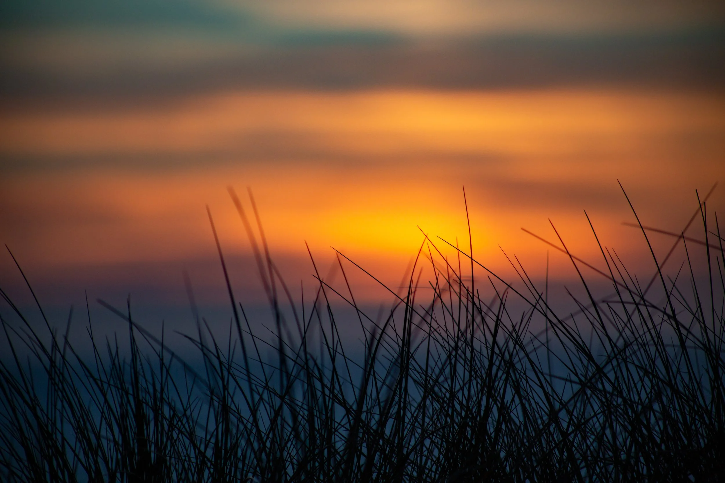 Nature photography in Cornwall