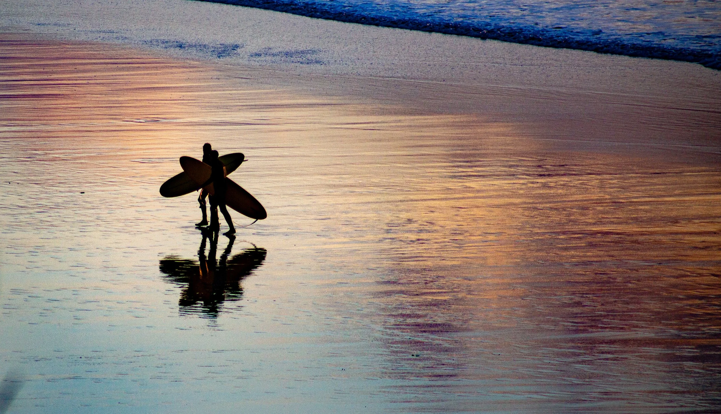Nature photography in Newquay