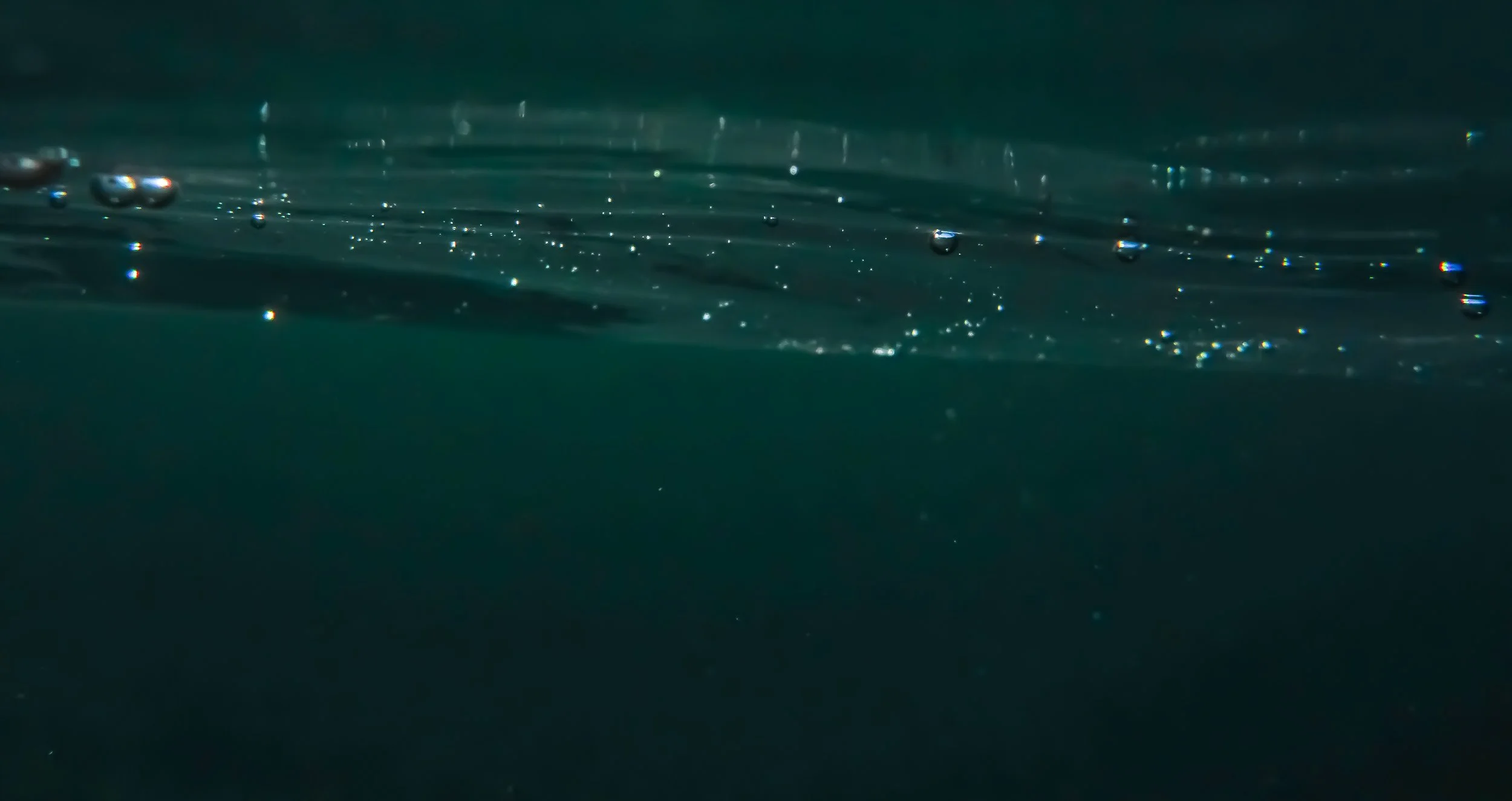 Underwater photography in Newquay