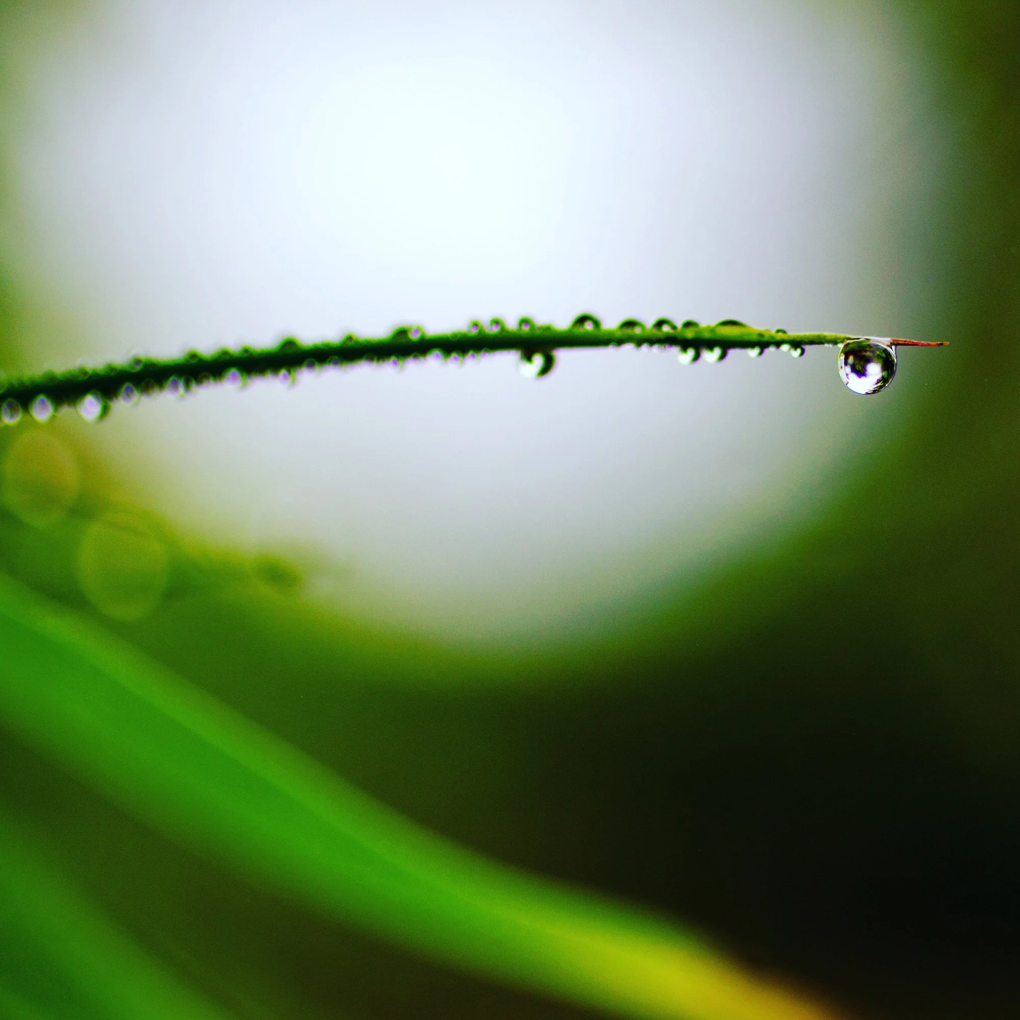 Nature photography in Cornwall
