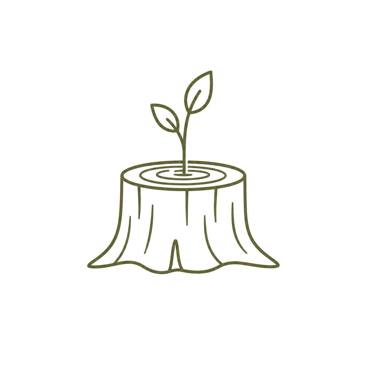 Line drawing of a tree growing from a tree stump with two leaves.