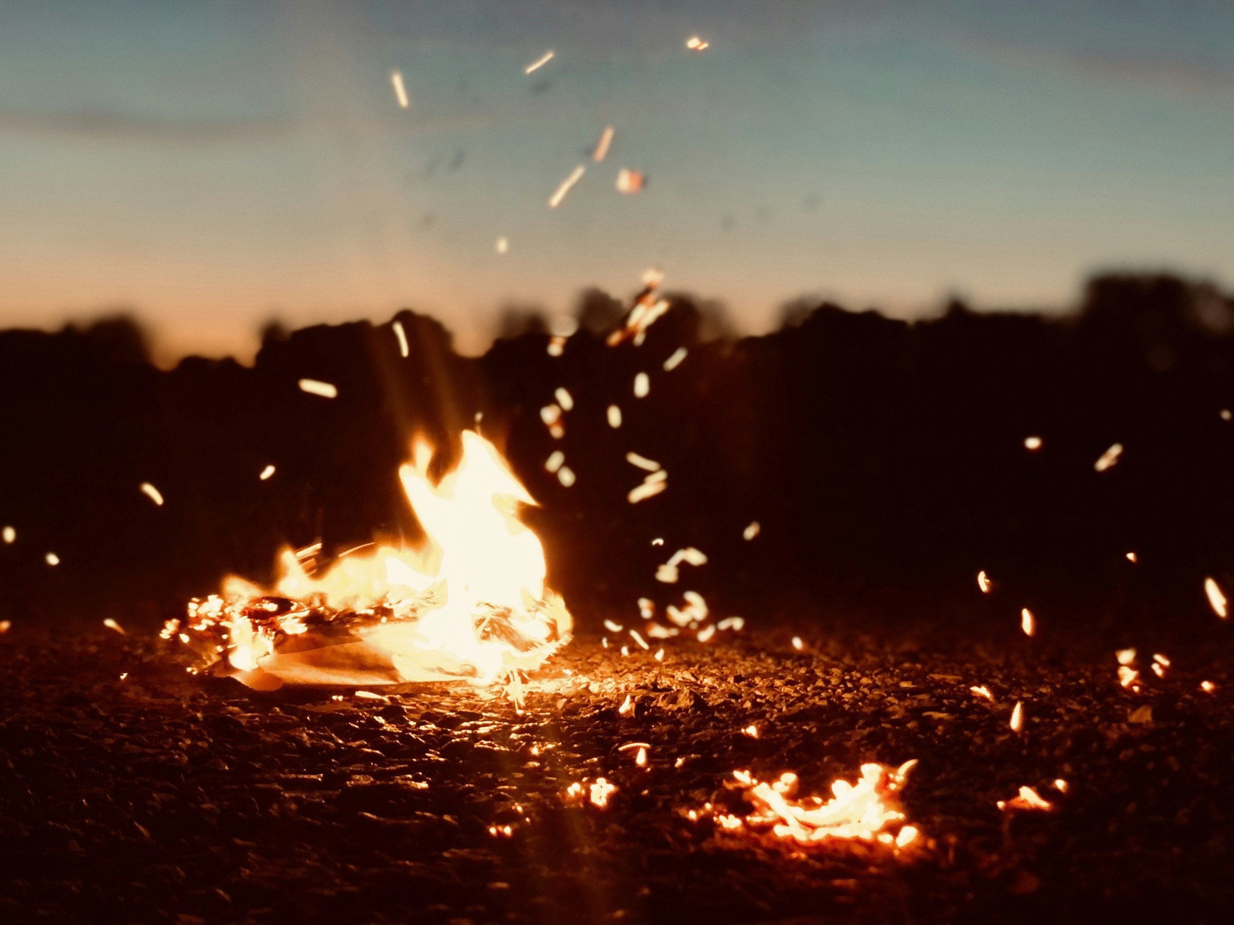 Sparks and embers glowing on the ground at dusk, representing the visual brand of Ember Counseling, a therapy and counseling practice in Oklahoma City, OK.