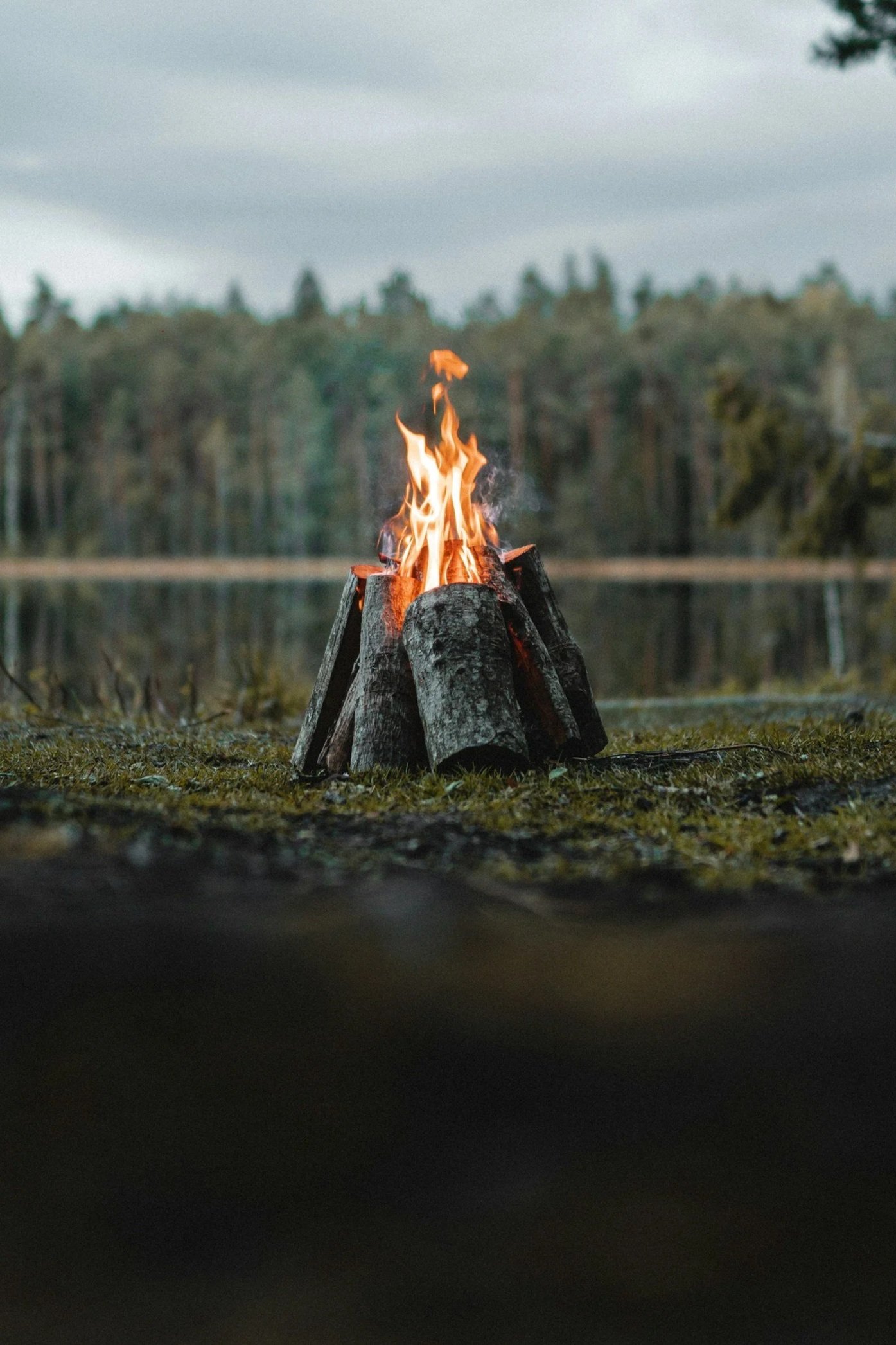 Fire burning on logs near a body of water with trees and cloudy sky in the background