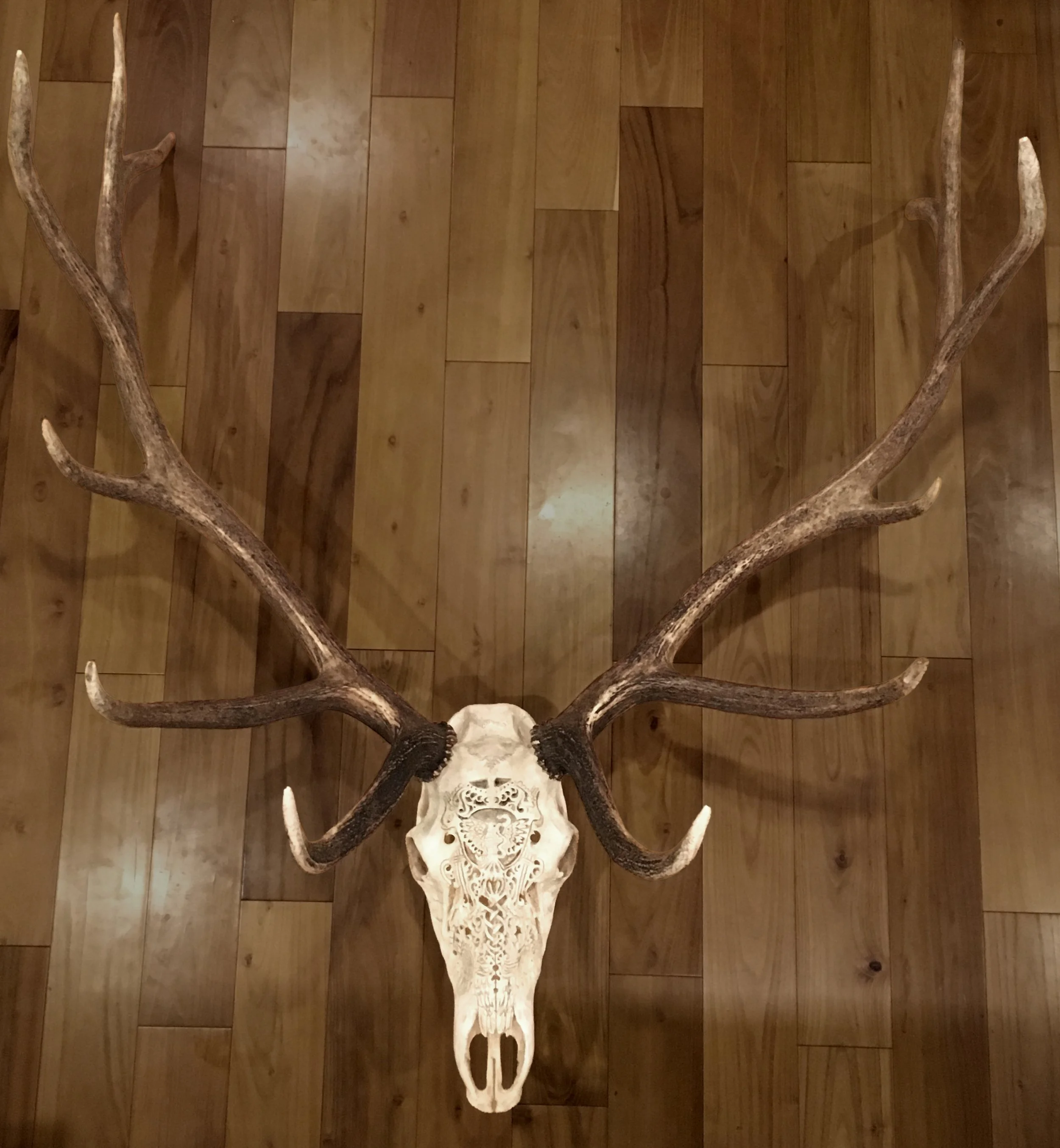 FullSizeRender 3 copy.jpg