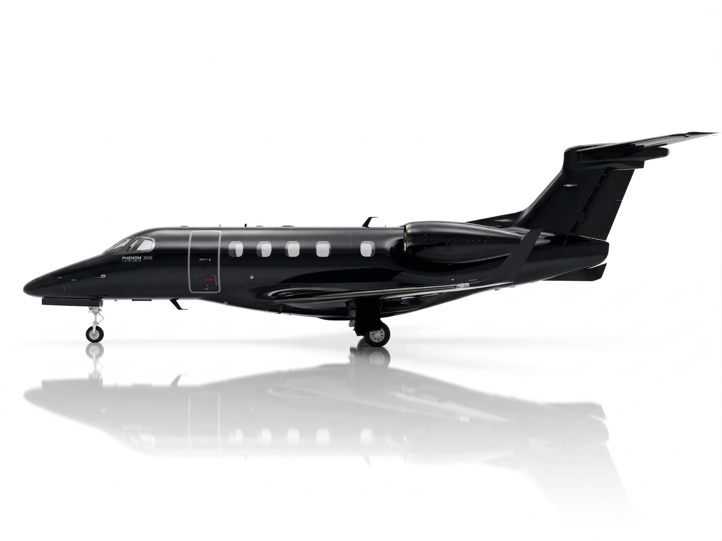 lateral photo phenom 300E