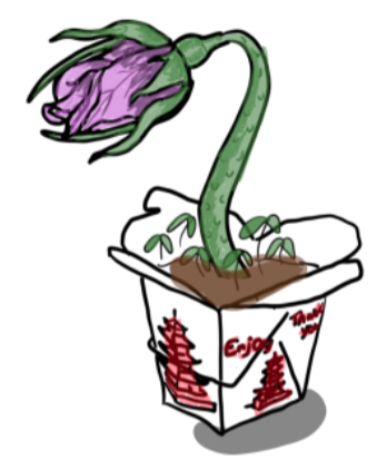 Screenshot 2024-05-29 130150.png