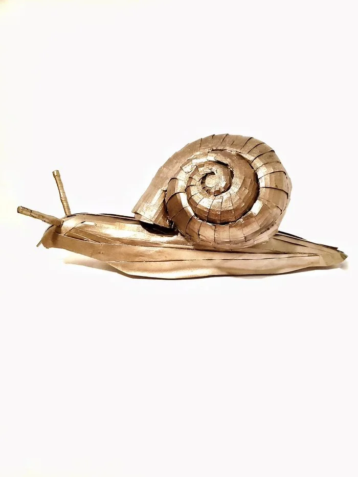 Snail.jpg
