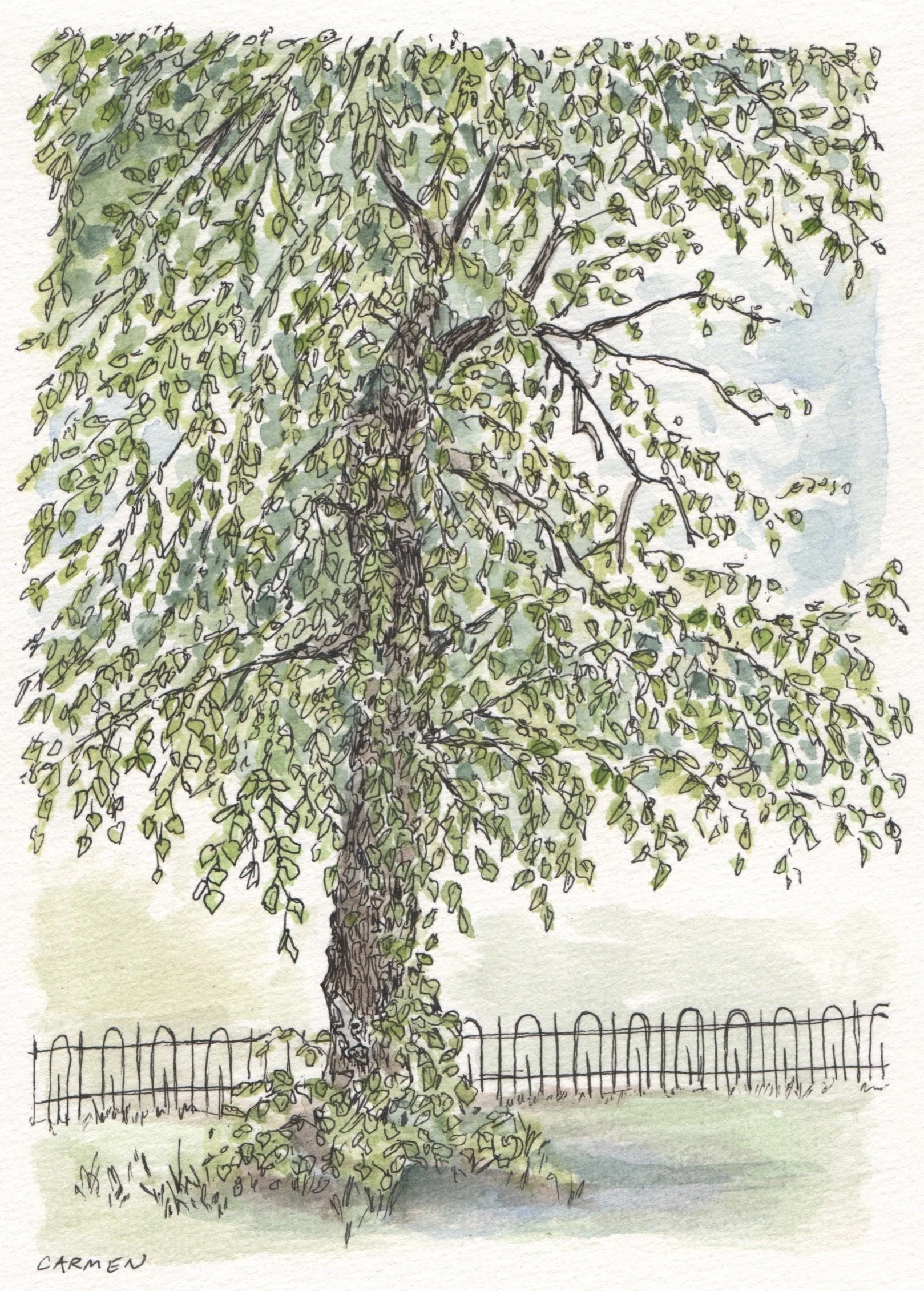 Charlton Park Tree