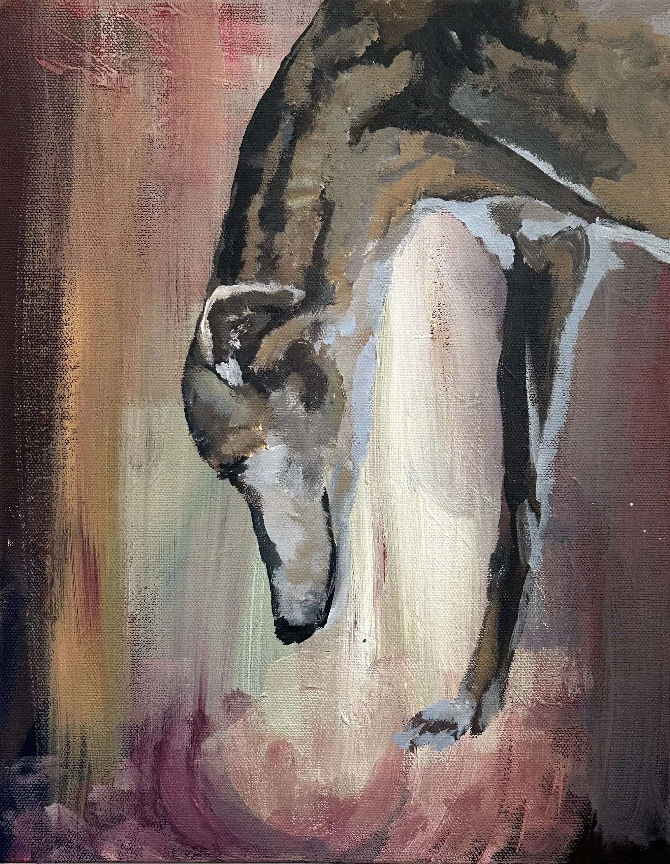 Greyhound