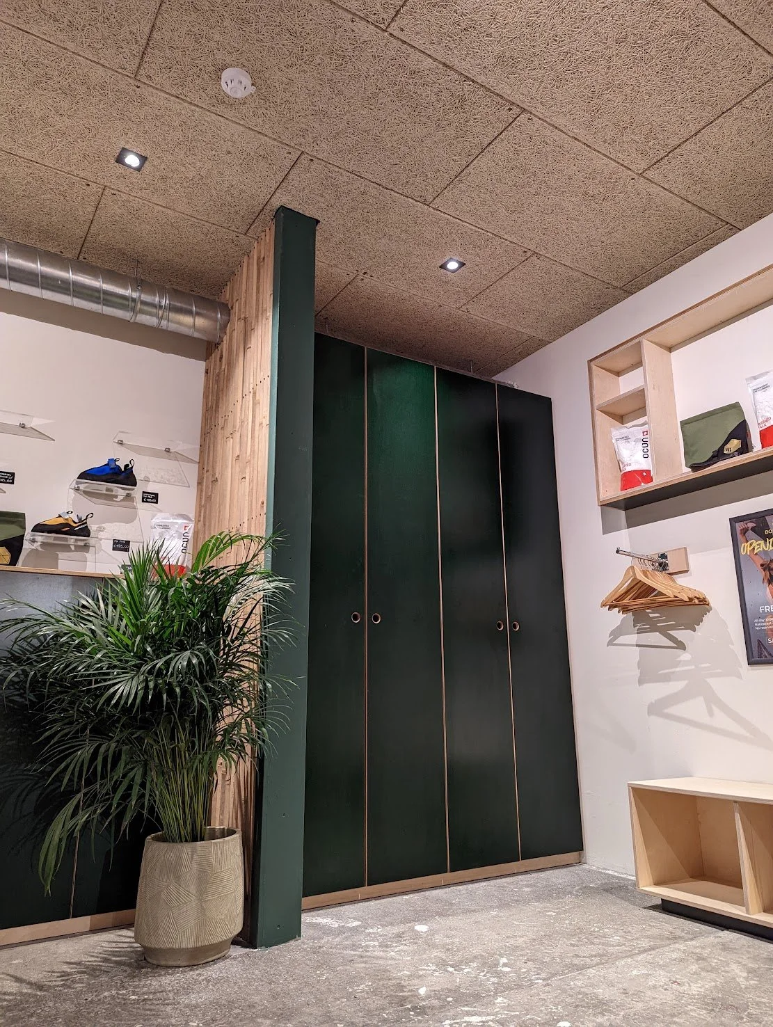 PXL_20221031_174251258.jpg