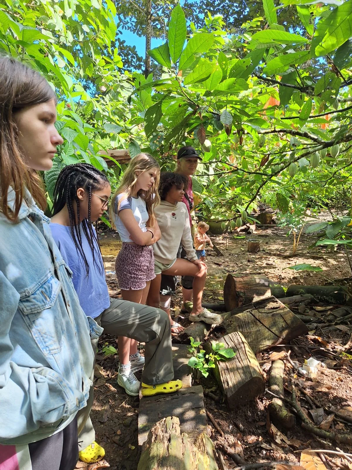 Children on cacao farm