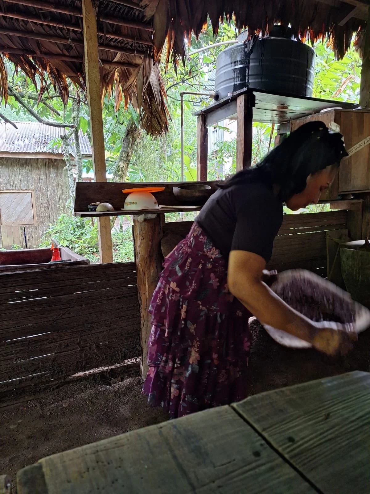 What Families Who Have Done Everything Find on the Caribbean Coast of Costa Rica