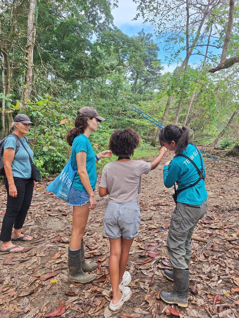 Sloth Tracking World School Hub Costa Rica