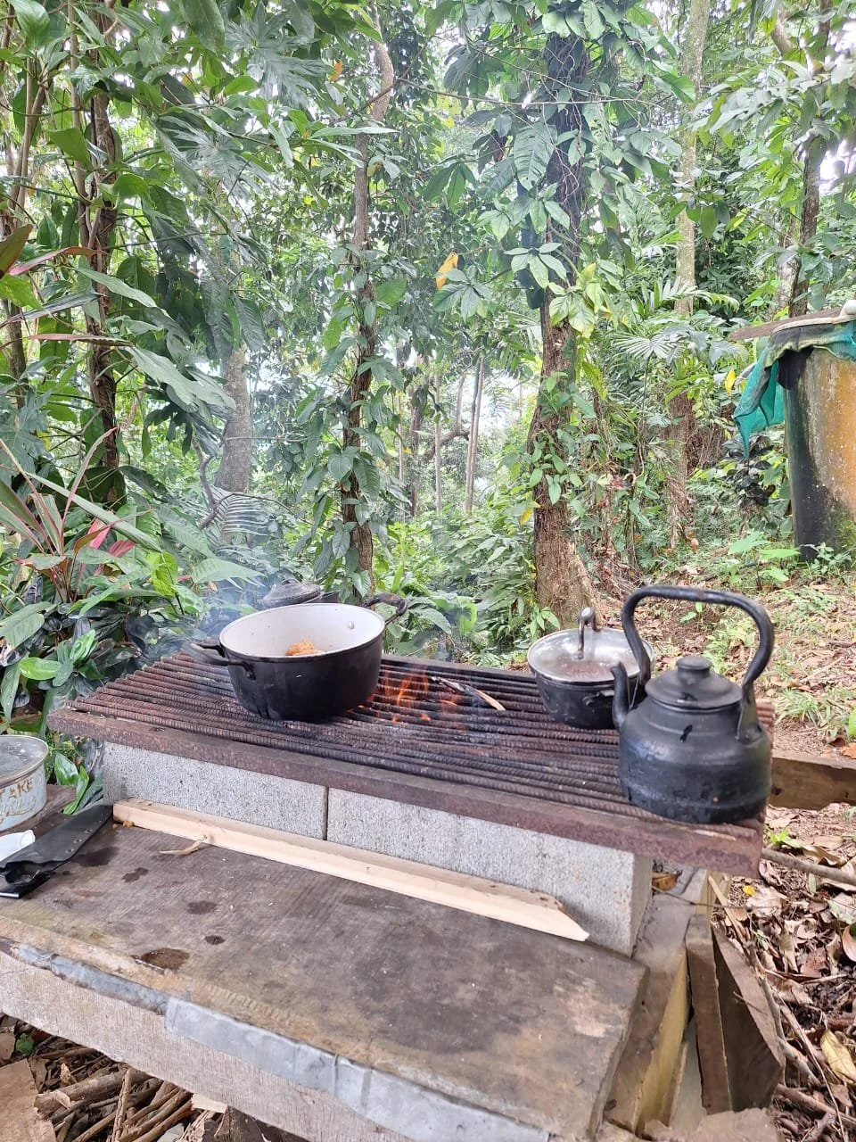 Outdoor cooking setup with a charcoal stove, black kettle, and black pots in a lush green forest.