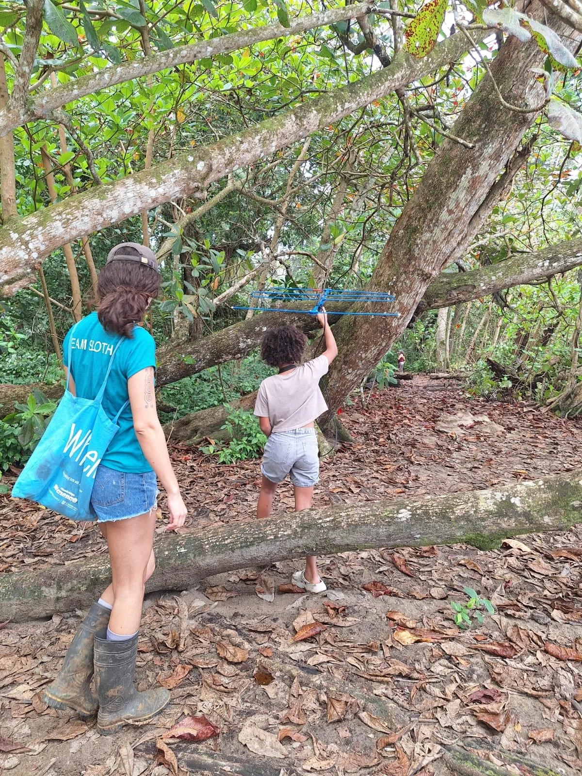 Sloth conservation field work with children — Caribbean coast Costa Rica