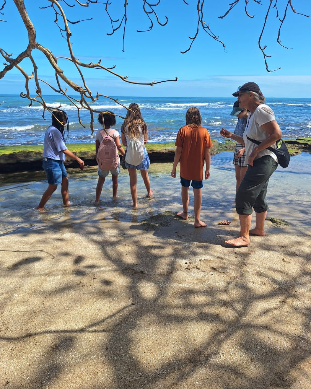 Coral Conservation Costa Rica World School Hub