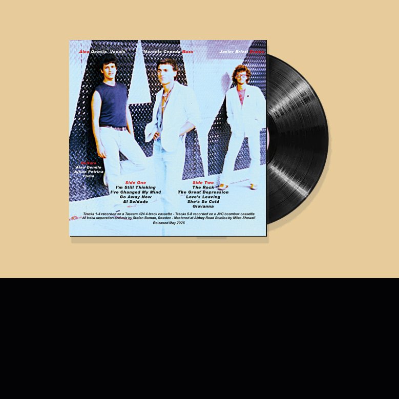 vinyl_layout_back.jpg