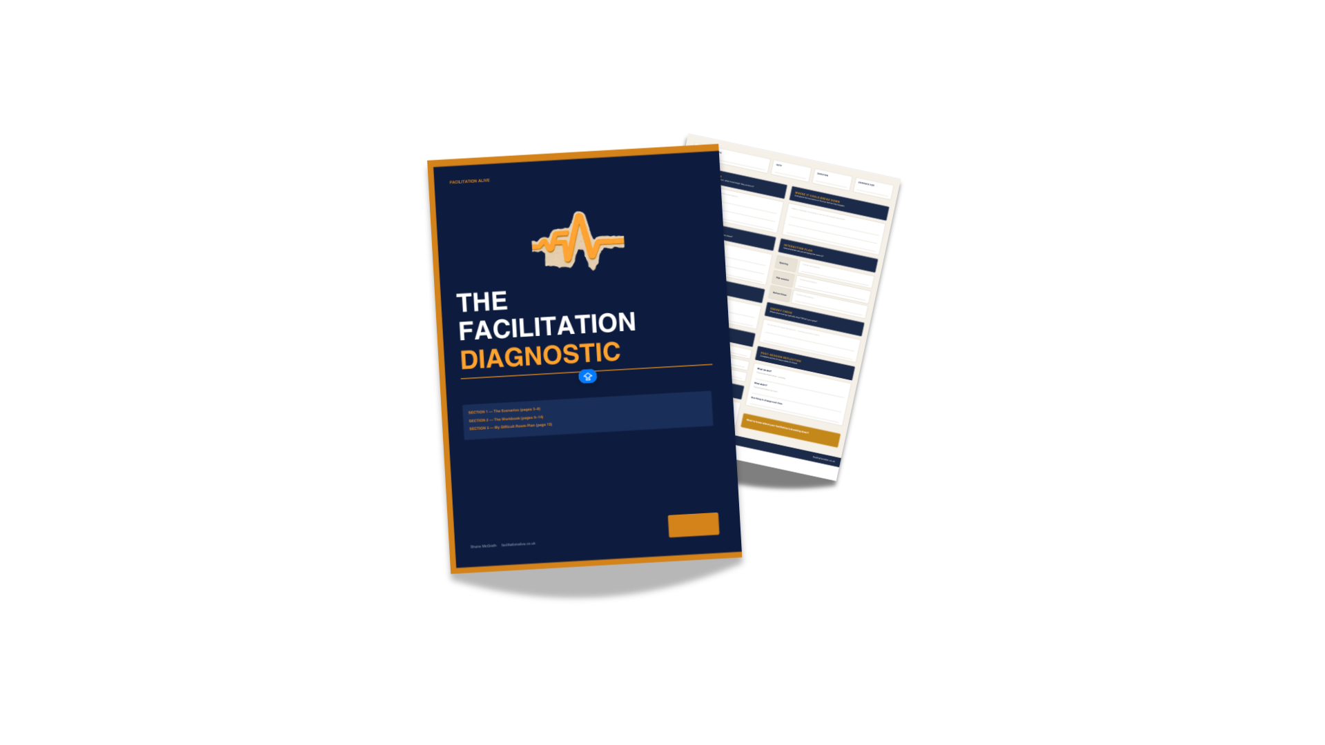 The Facilitation Diagnostic