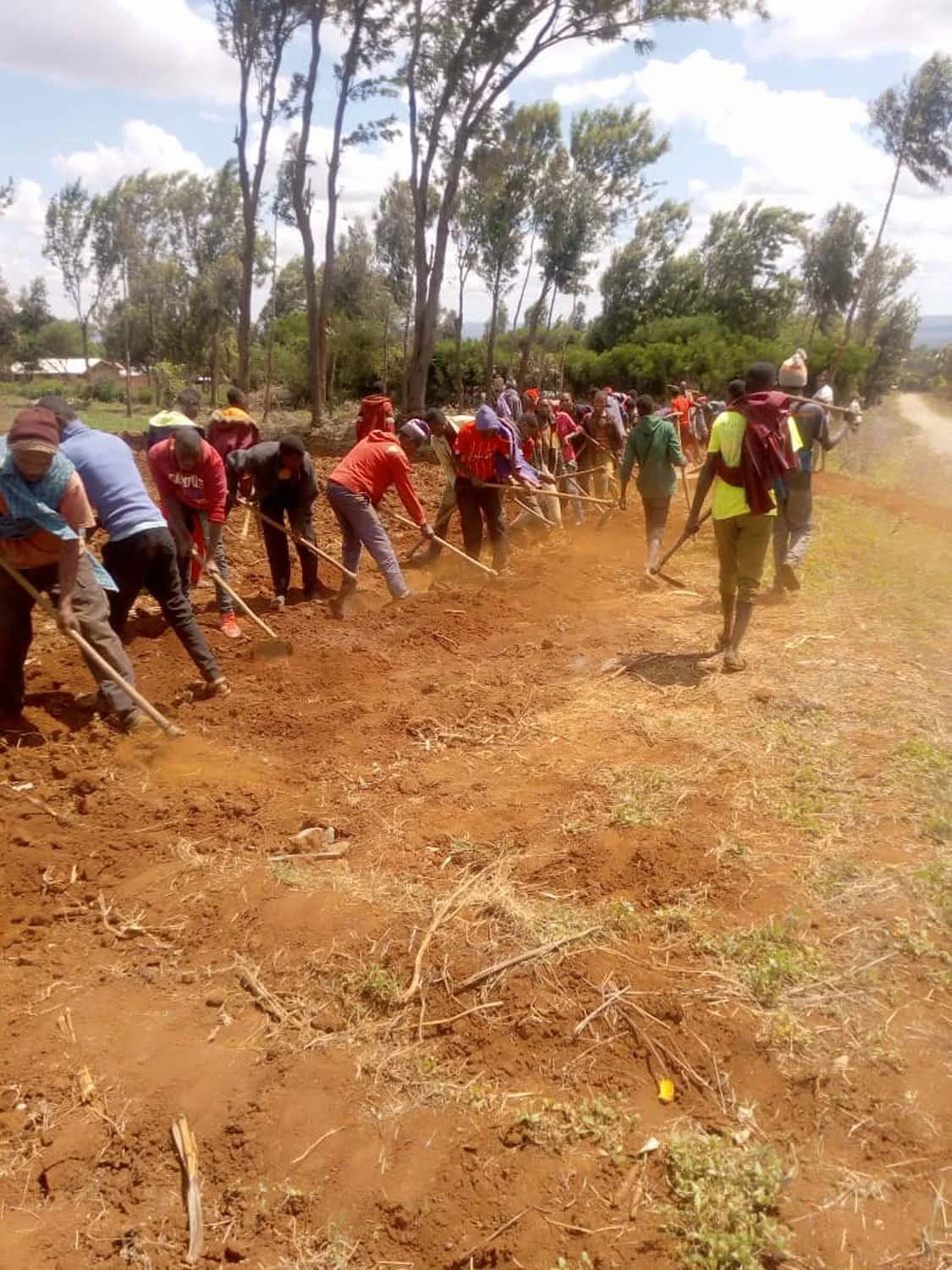 A group of people working together to plow a field in an open outdoor area, with trees and cloudy sky in the background.