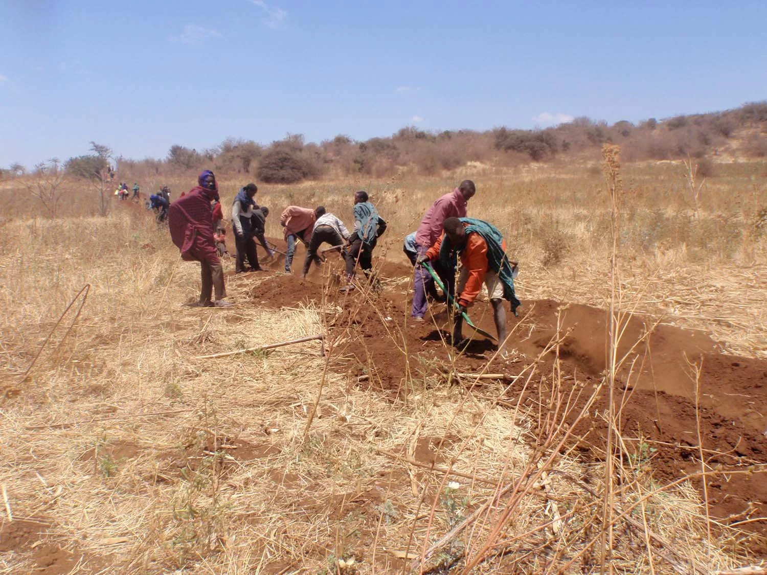 Group of people planting trees in a dry, open landscape under a clear blue sky.