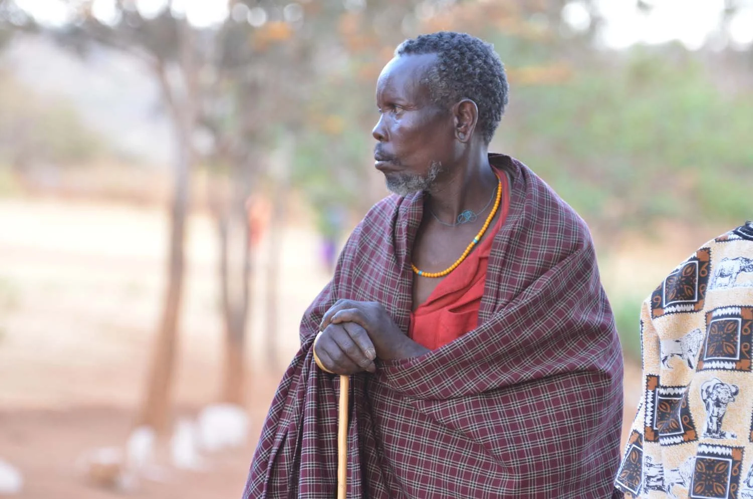 An elderly man with a cane wearing traditional Maasai attire, including a red and checkered shuka, standing outdoors in a rural setting with trees in the background.