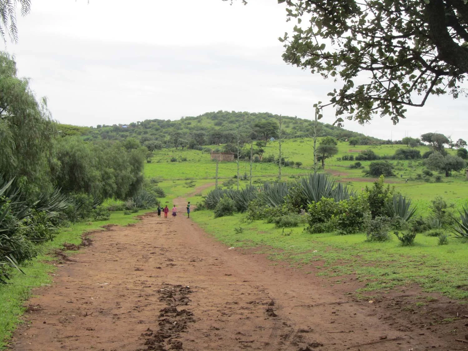A dirt path with footprints runs through a lush green countryside with trees and bushes on both sides, leading toward hills in the distance, with a group of children walking along it under an overcast sky.