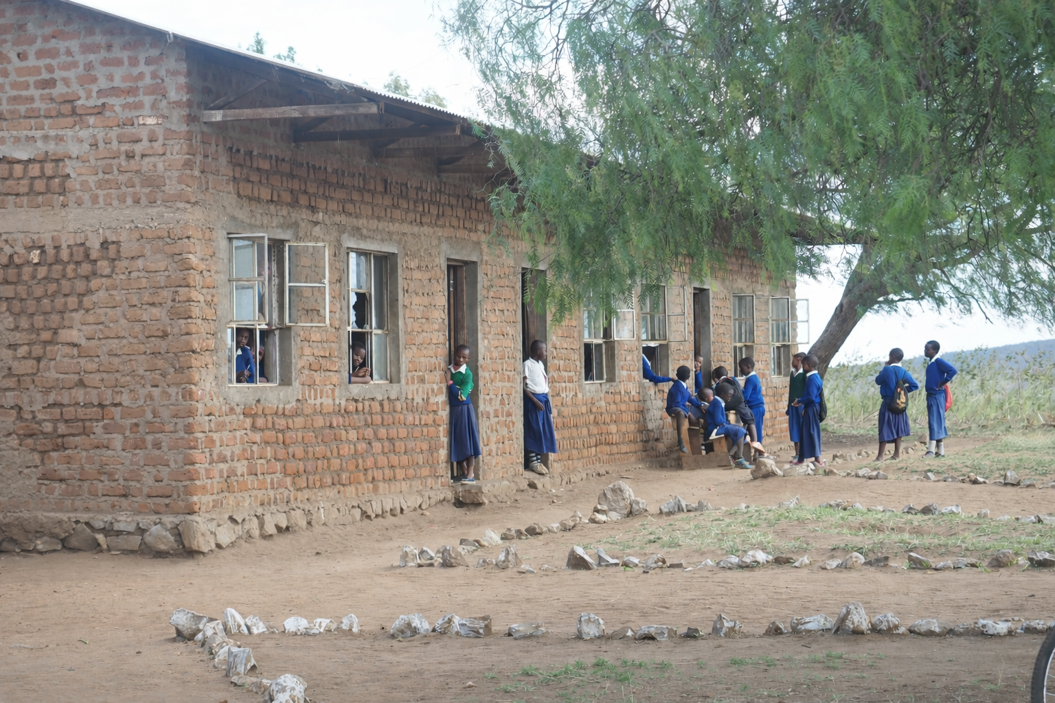 Children outside a brick school building with open windows, some standing and some sitting, under a large tree on dirt ground, in a rural area.
