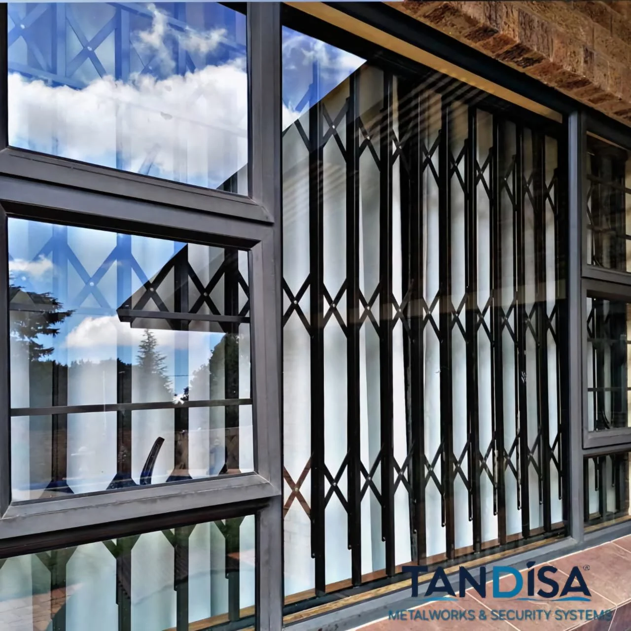 Xguards Smart Buglar bars