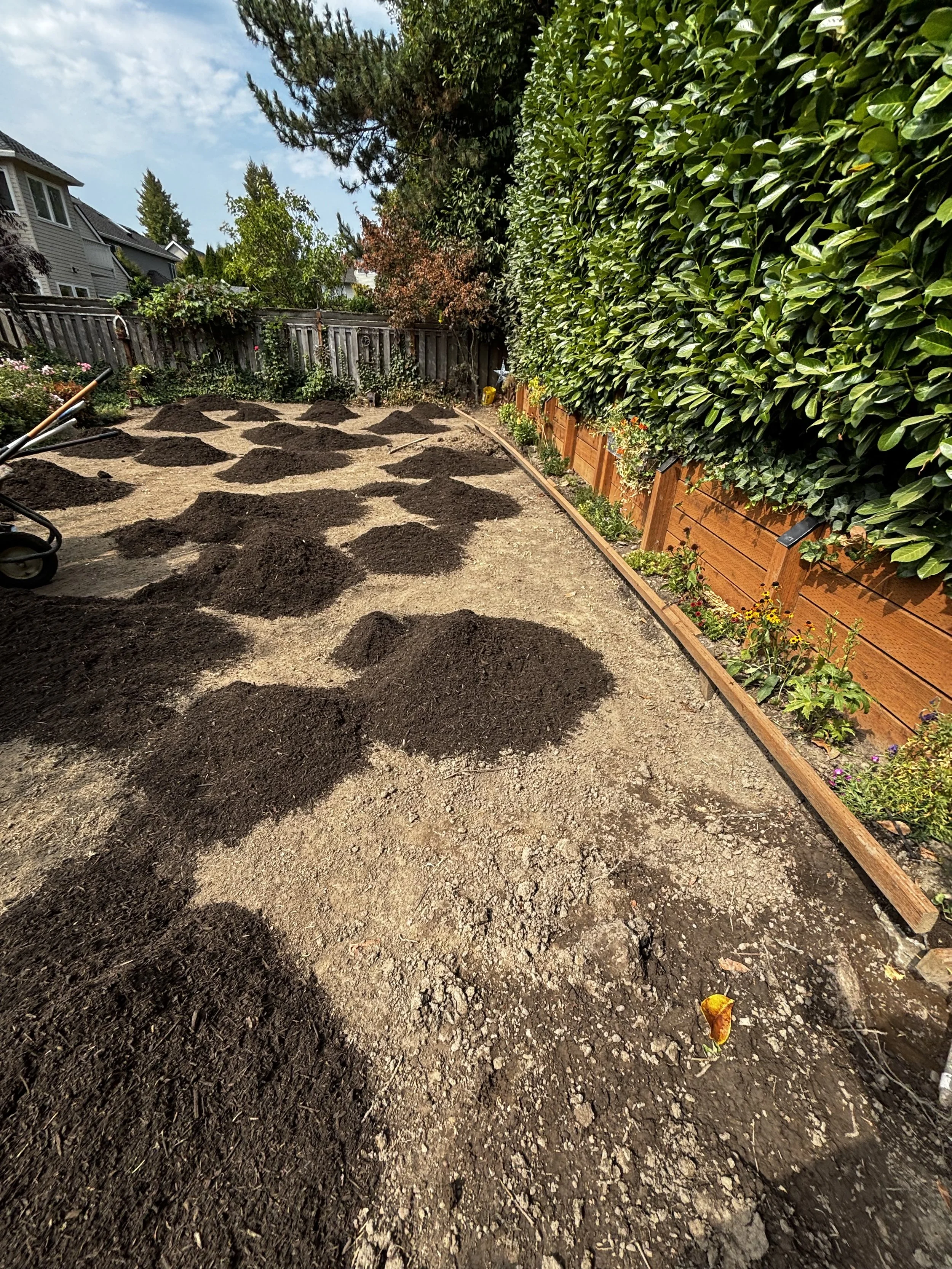 Before new grass 