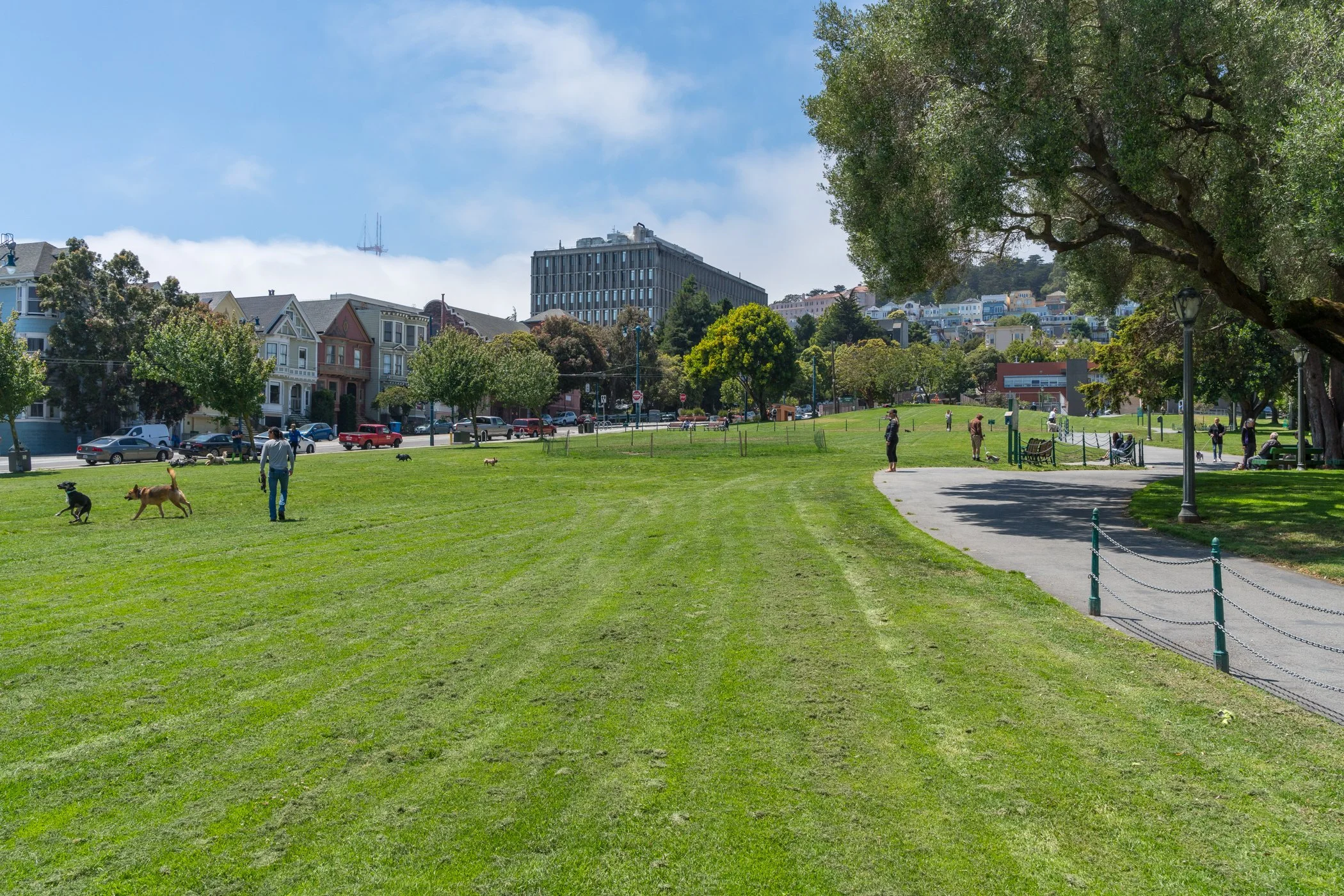 A park with green grass, trees, and a pathway, with people walking, sitting, and playing with dogs. Buildings and houses are visible in the background.