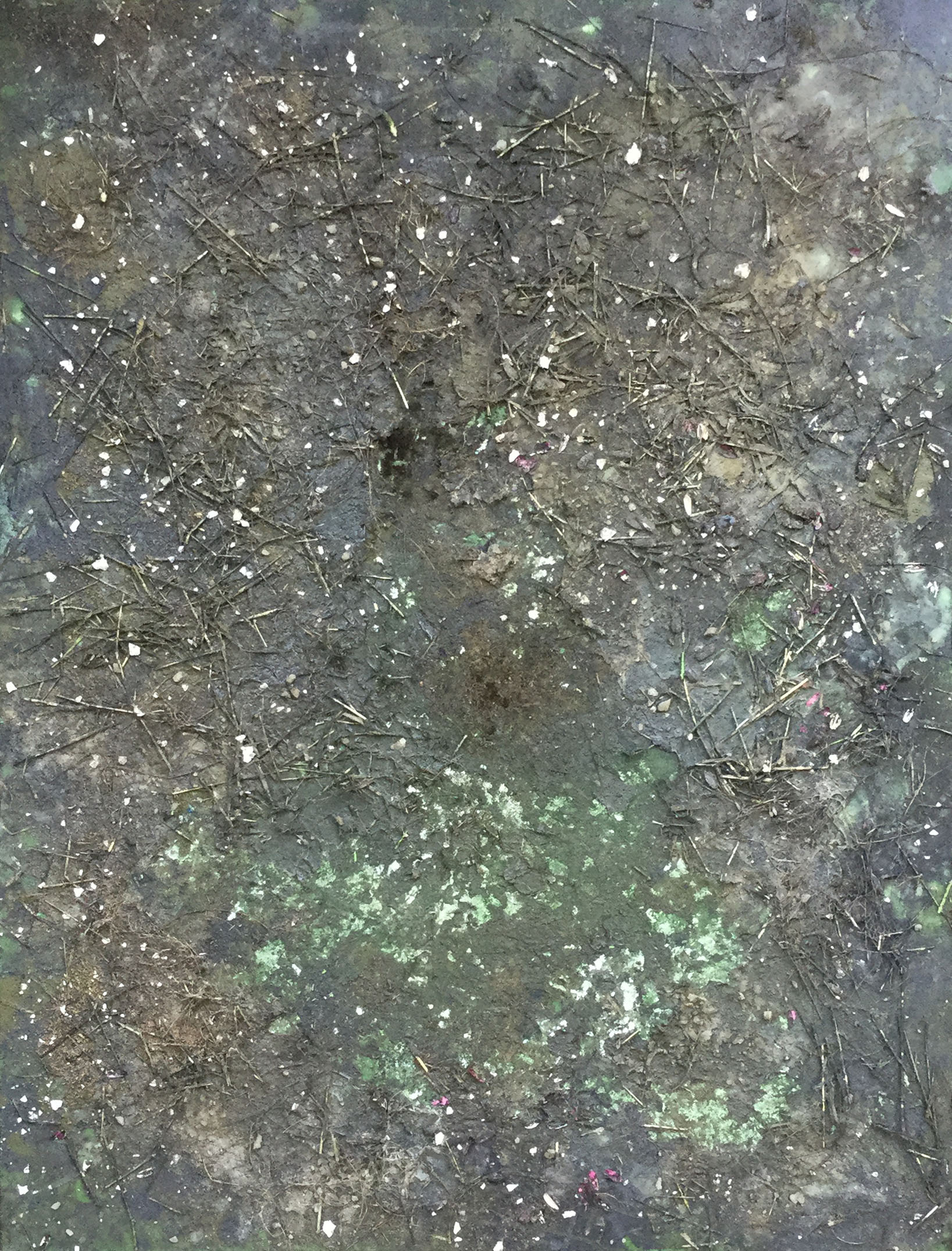 "Shattered Nest" Mixed Media on Canvas