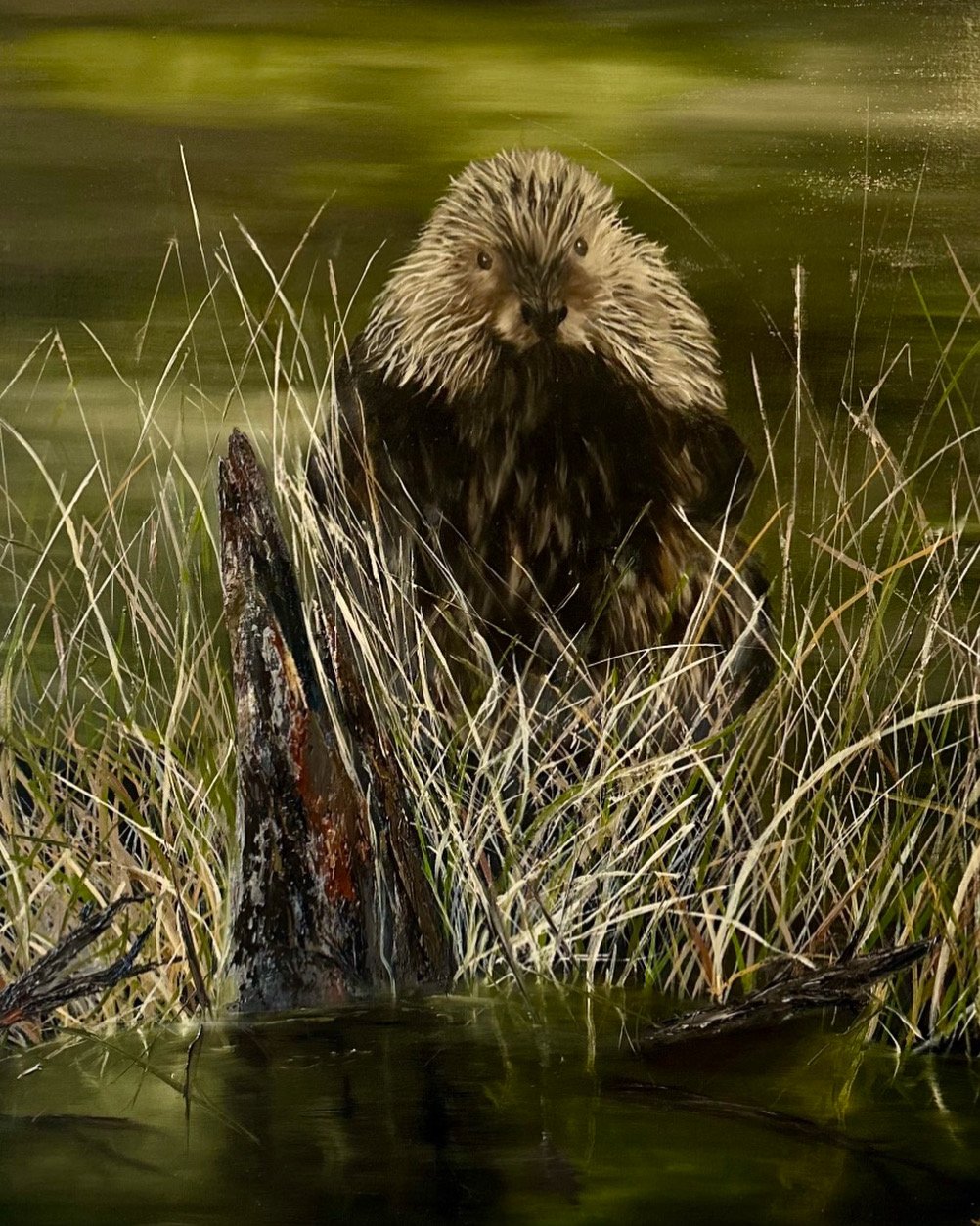 Beaver