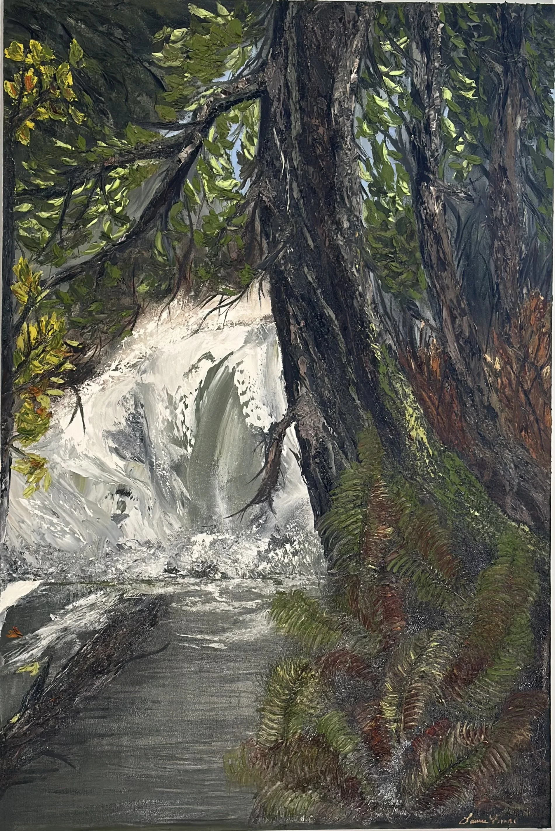 Waterfall Sunshine Coast