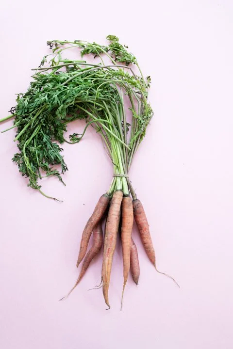 Carrots - Vanessa Filley