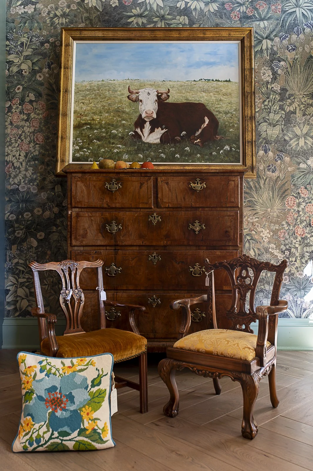 Portrait of a Cow