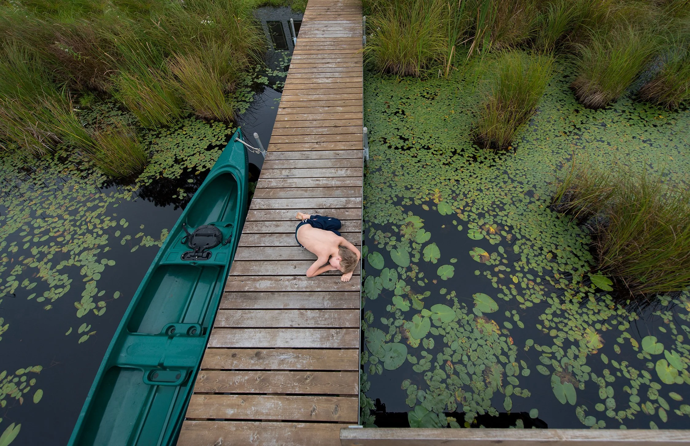 Lily Pad,  2018