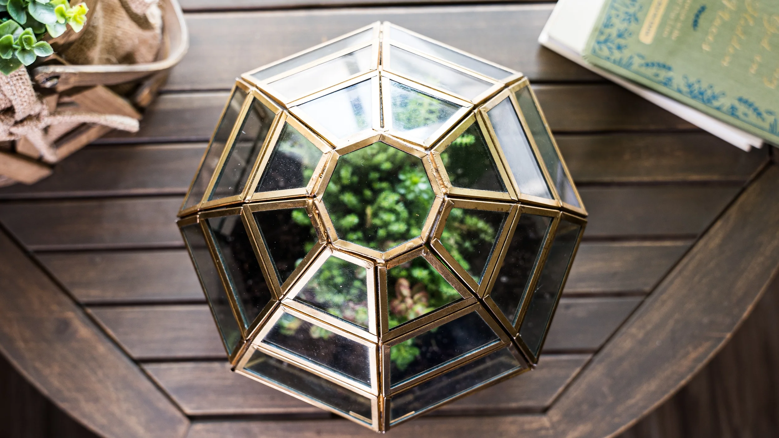 TERRARIUM3.webp