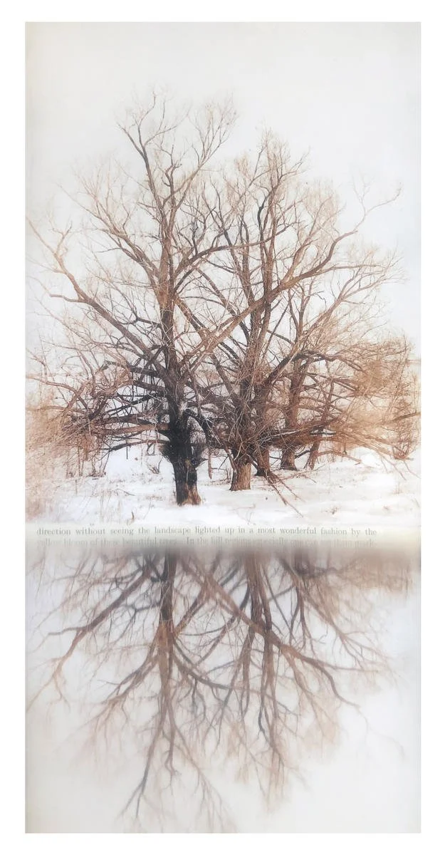 wintertree-juliemeridian-shumakercurated copy.png