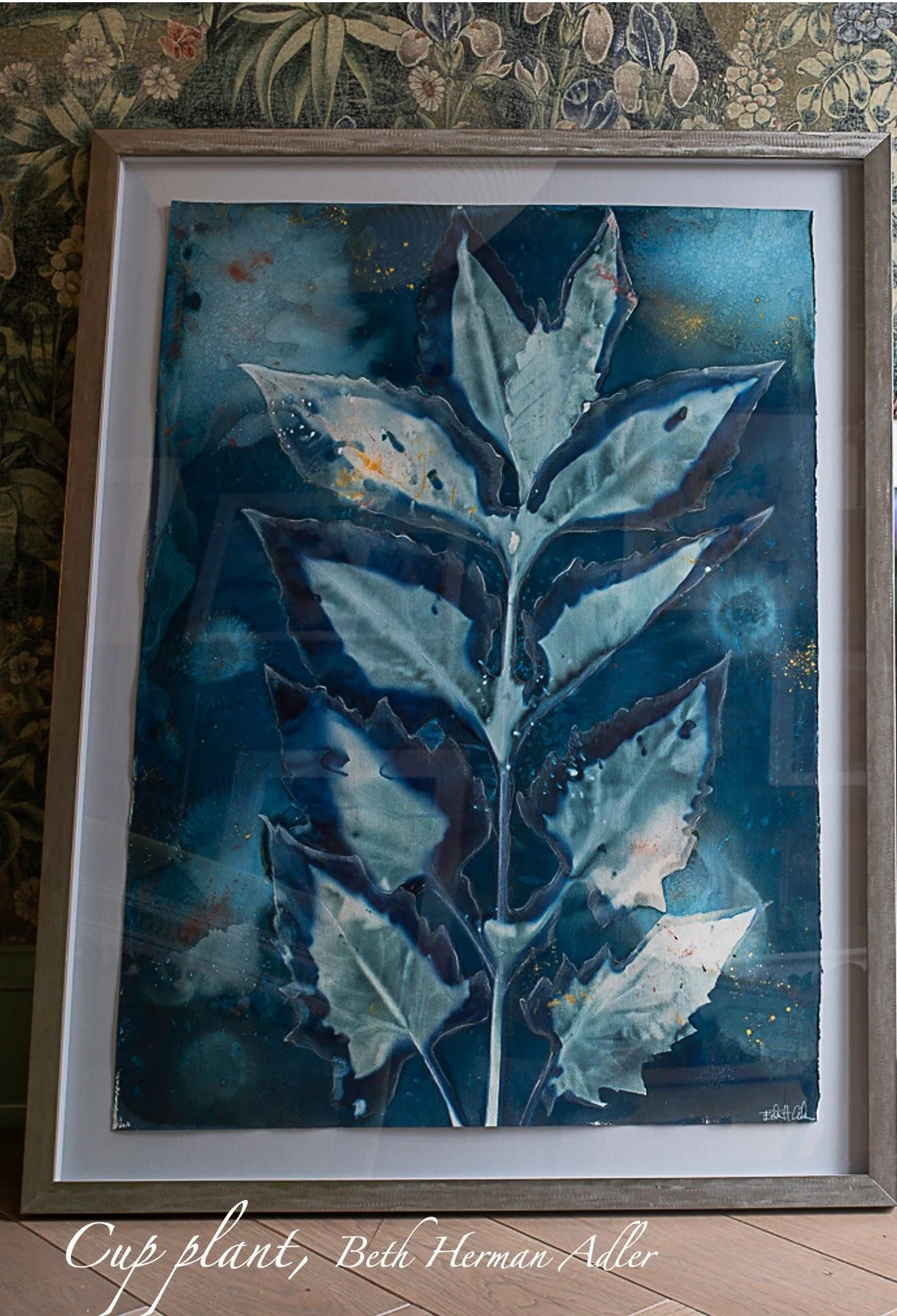Cup Plant - Cyanotype - Beth Adler