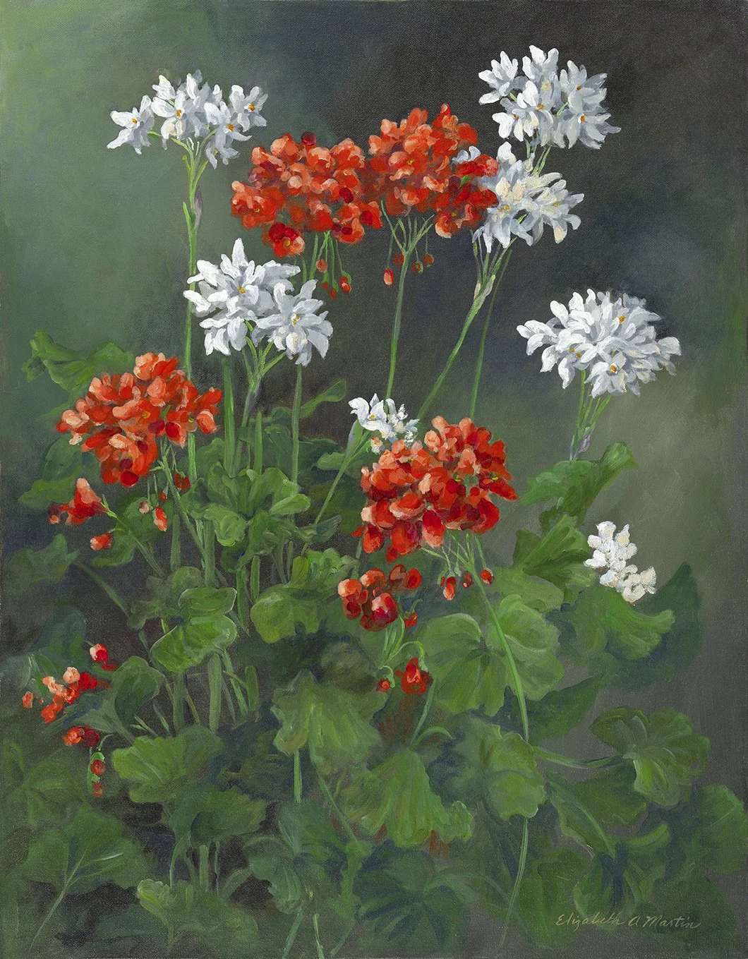 Geranium  (1 of 2) Elizabeth Martin