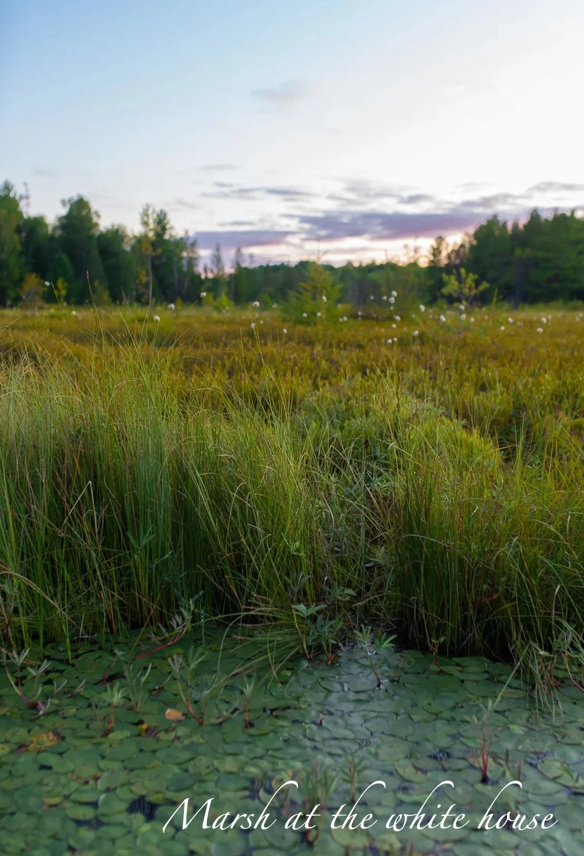 shumakercurated-whitehouse-art_wisconsin .jpeg