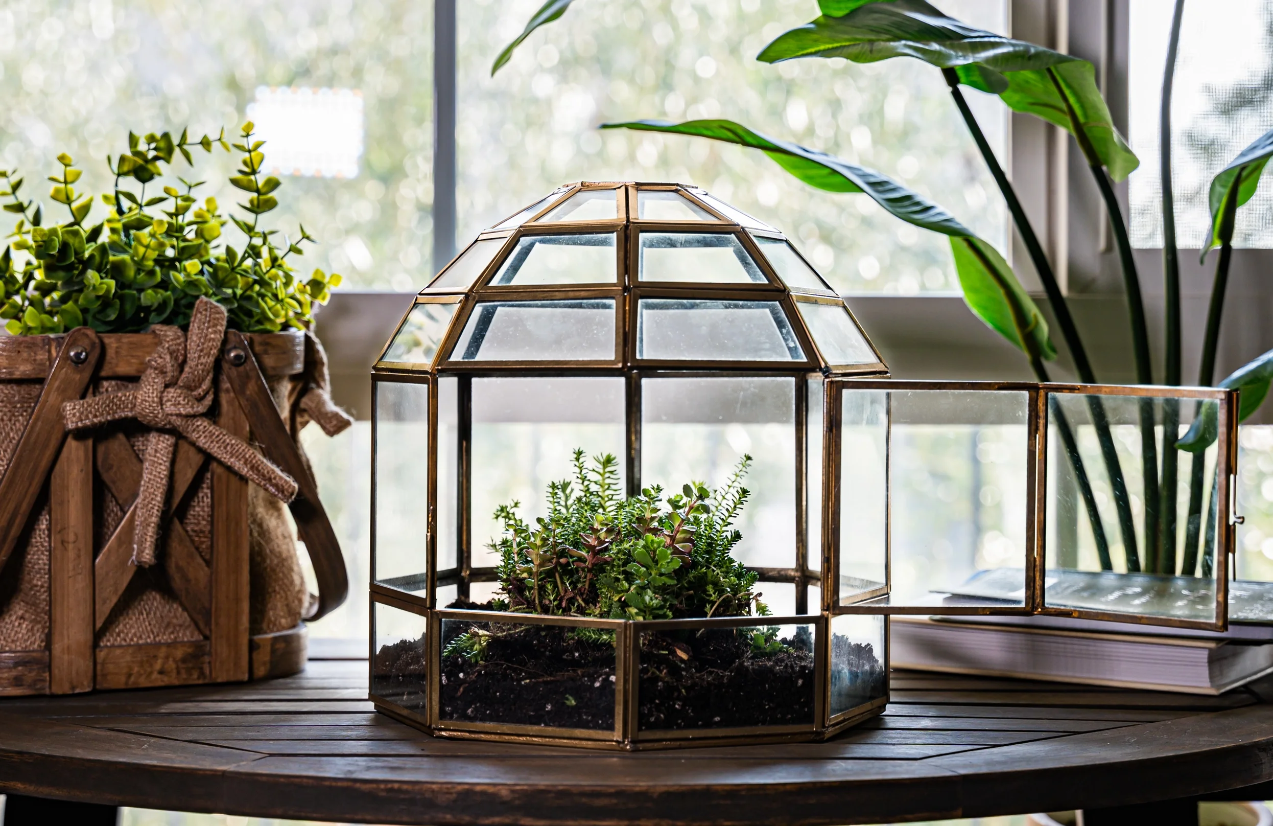 TERRARIUM2.webp