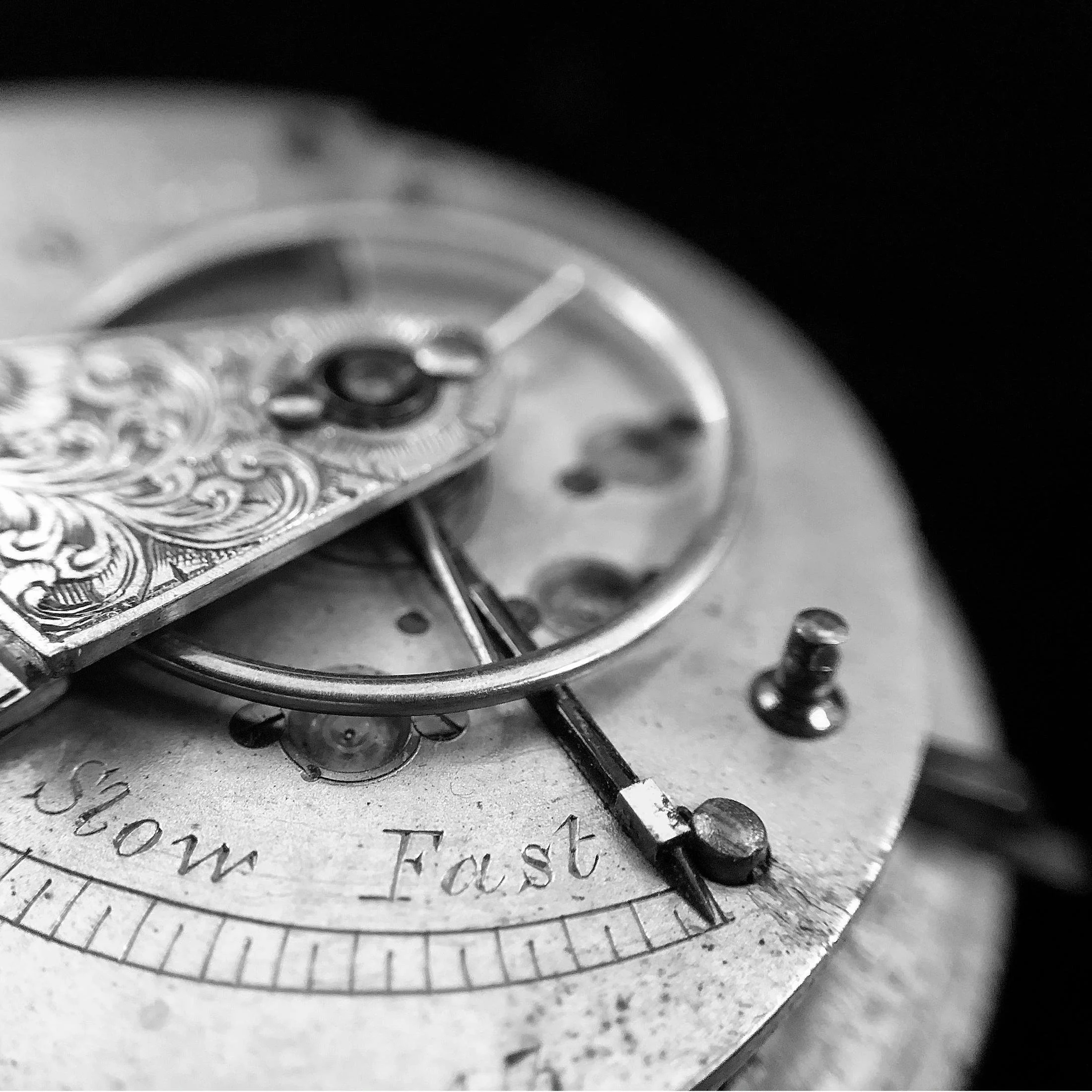 Julie Meridian